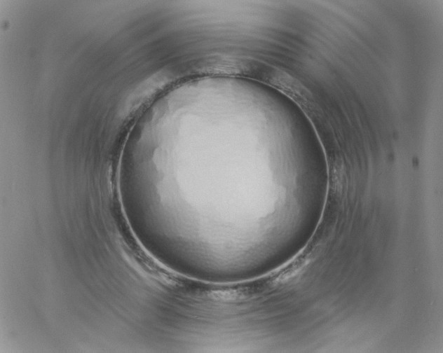 X0000060760302200511241735