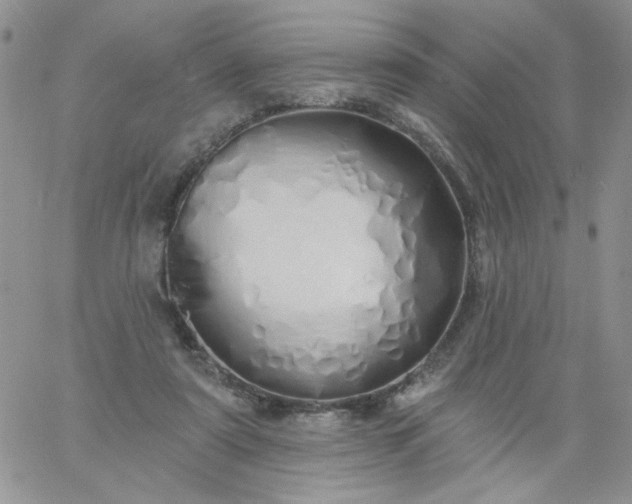 X0000060760307200511241735