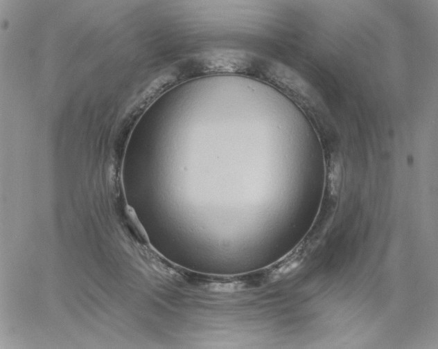 X0000060760314200511241735
