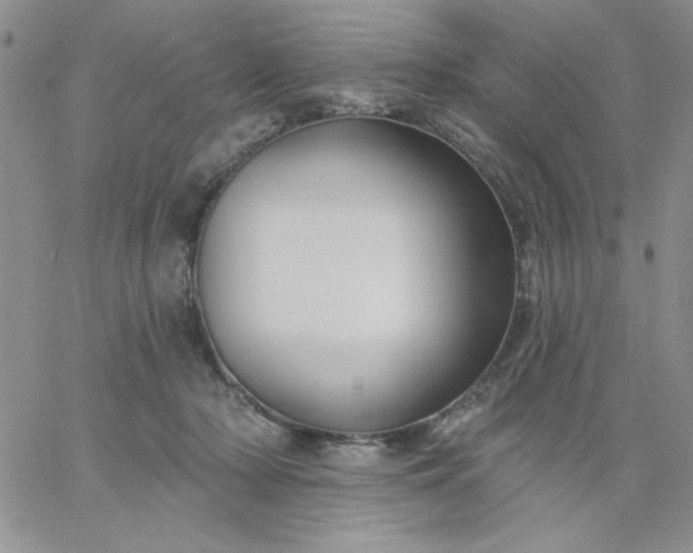 X0000060760318200511241735
