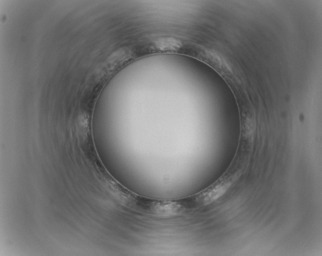 X0000060760321200511241735