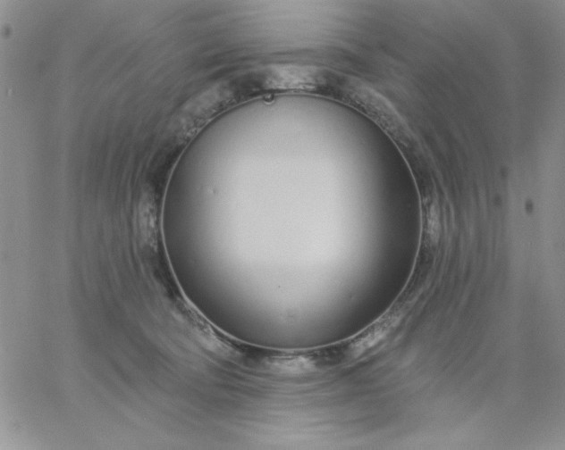 X0000060760322200511241735