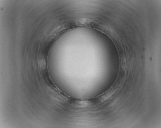 X0000060760324200511241735