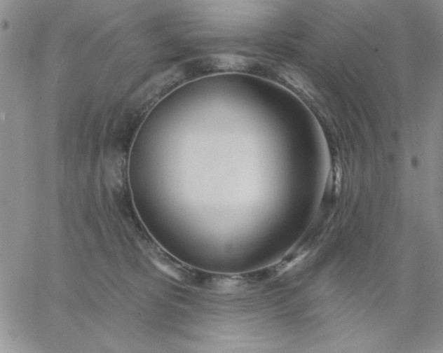 X0000060760325200511241735