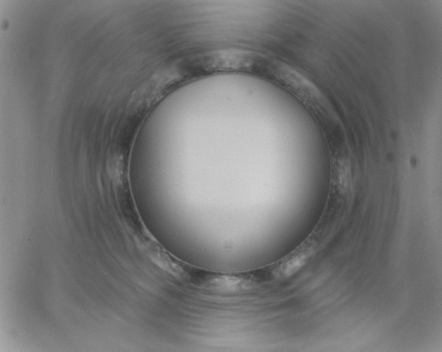 X0000060760326200511241735