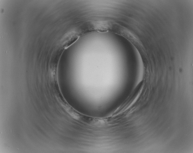 X0000060760329200511241735