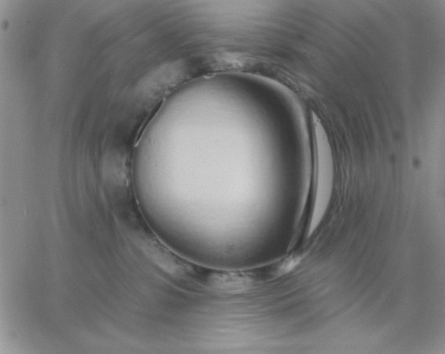 X0000060760331200511241735