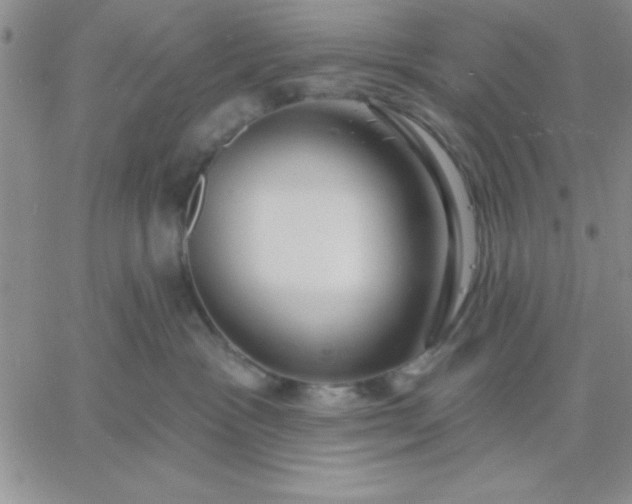 X0000060760333200511241735