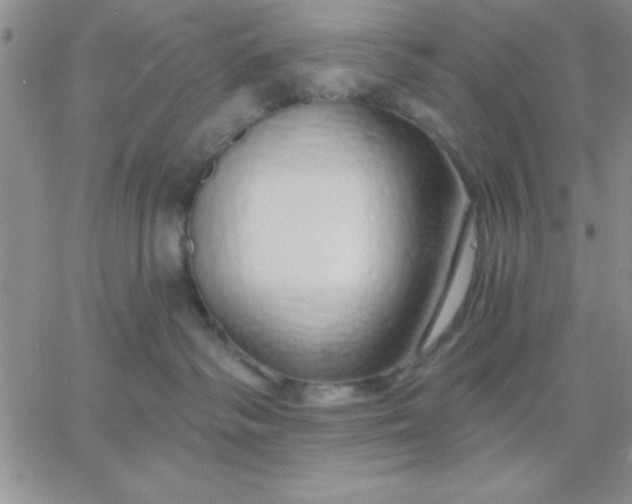 X0000060760334200511241735