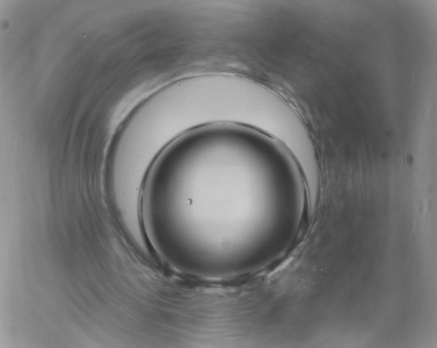X0000060760340200511241734
