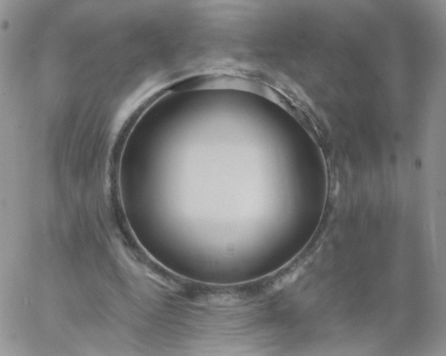 X0000060760344200511241734