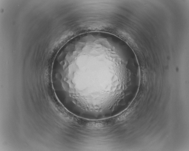 X0000060760354200511241734