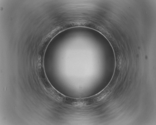 X0000060760356200511241734