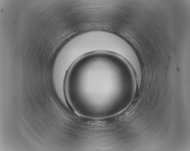 X0000060760359200511241734