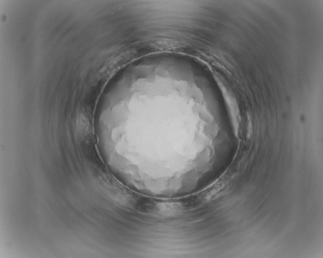 X0000060760371200511241734