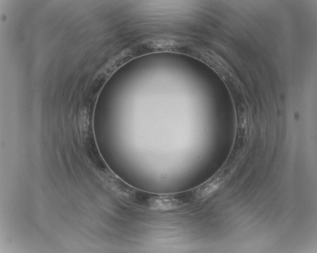 X0000060760372200511241734