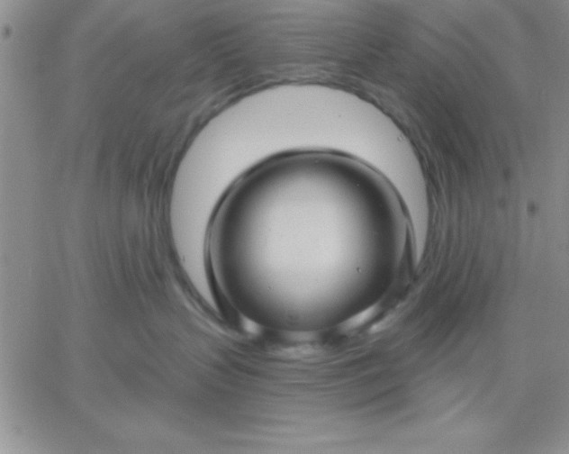 X0000060760383200511241735