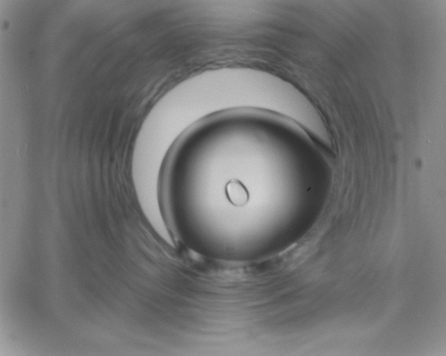 X0000060760384200511241735