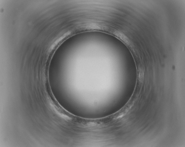 X0000060760390200511241734