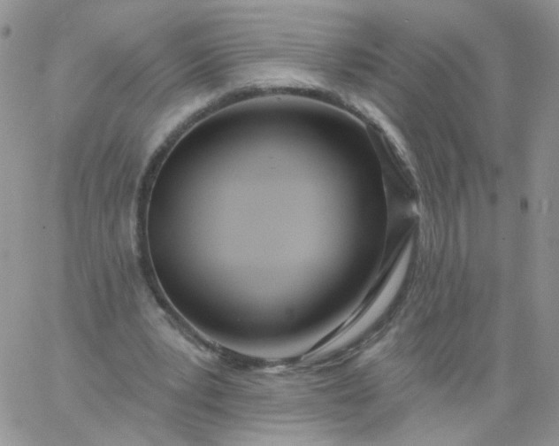 X0000060760391200511241734