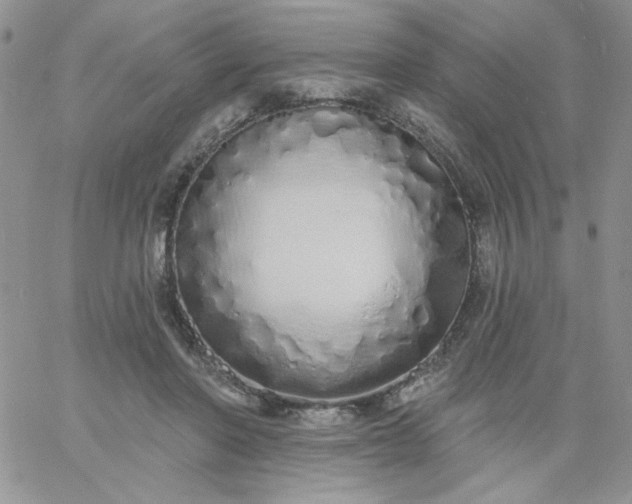 X0000060760406200511241734