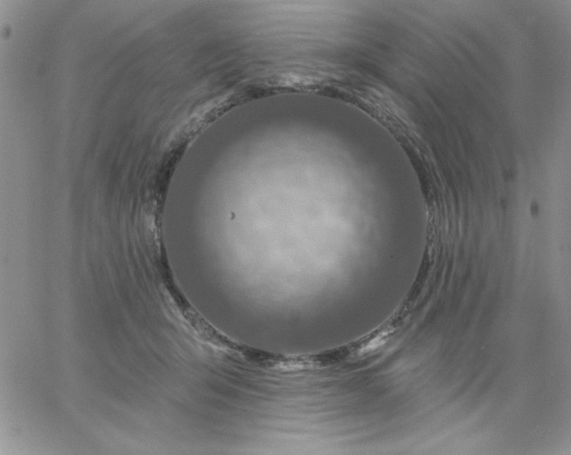X0000060760415200511241733