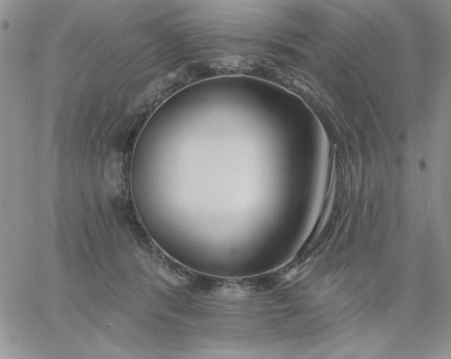 X0000060760416200511241733