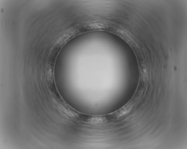 X0000060760418200511241733