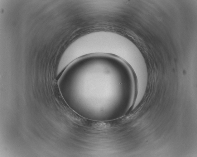 X0000060760421200511241733
