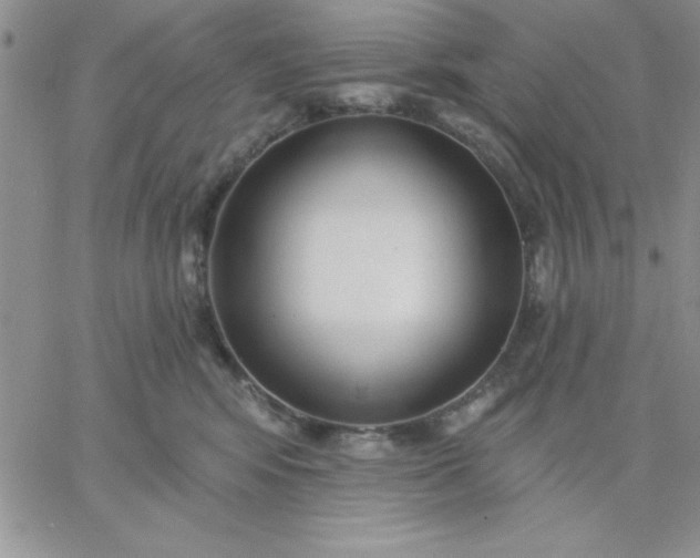X0000060760424200511241733