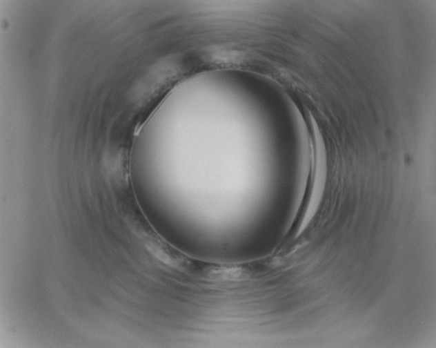 X0000060760428200511241733