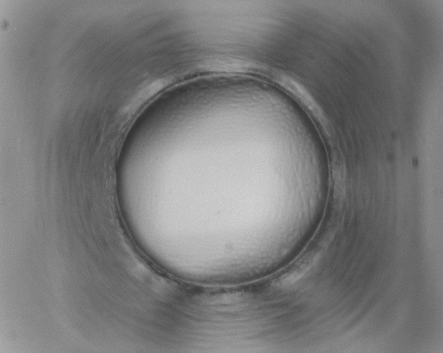 X0000060760433200511241732