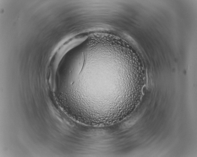 X0000060760435200511241732
