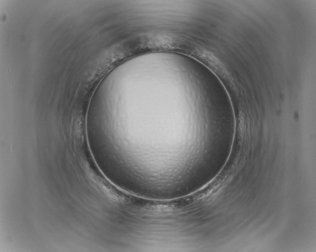 X0000060760449200511241733