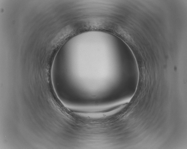 X0000060760450200511241733