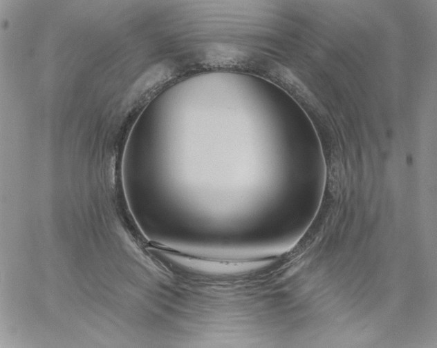 X0000060760454200511241733