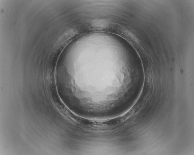 X0000060760455200511241733