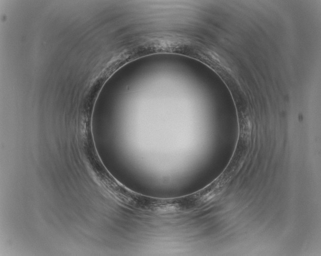 X0000060760456200511241733