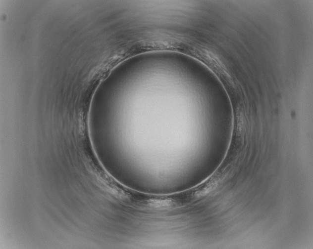 X0000060760457200511241733