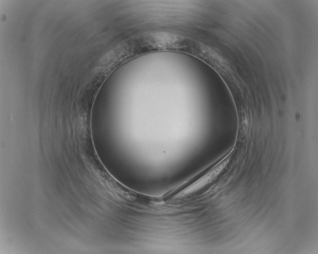 X0000060760461200511241733