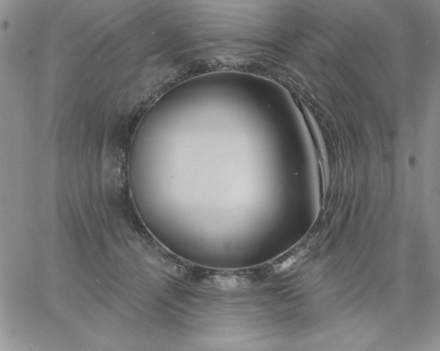X0000060760464200511241733