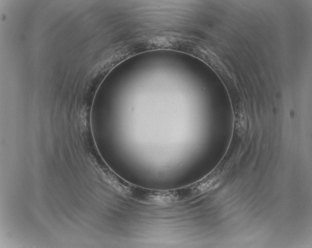 X0000060760466200511241733