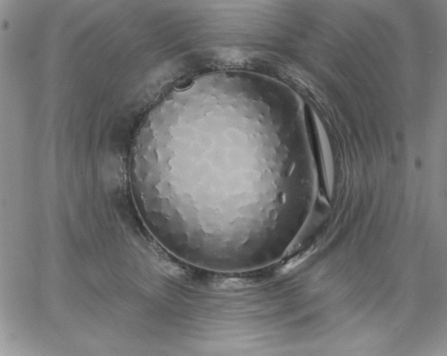 X0000060760467200511241733