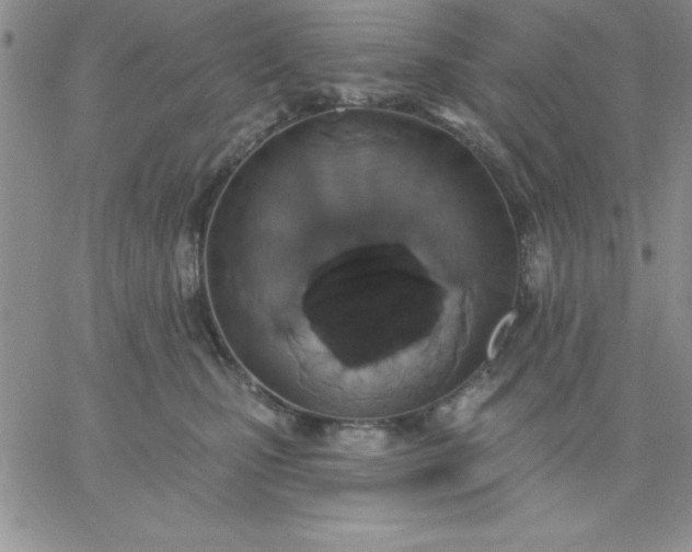 X0000060760471200511241733