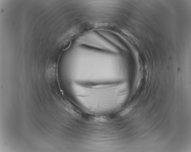 X0000060760475200511241733