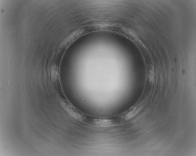 X0000060760476200511241733