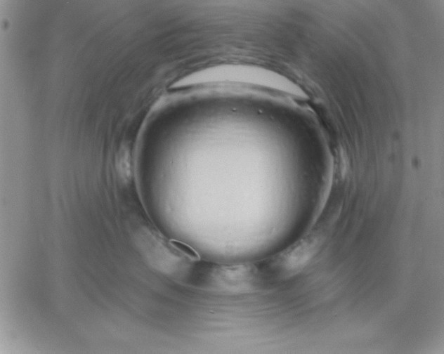 X0000060760479200511241733