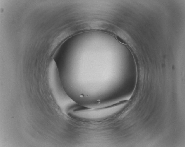 X0000060760481200511241732