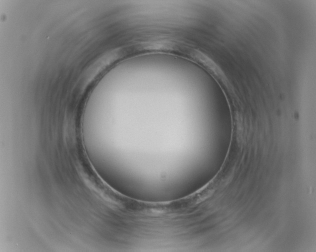 X0000060760482200511241732