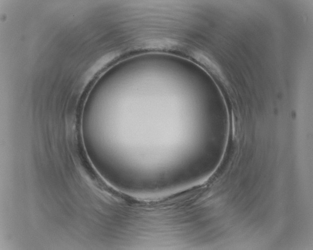X0000060760483200511241732